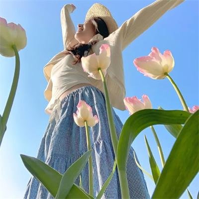 断林镇谜案第十季